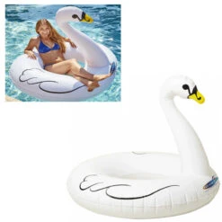 BOUEE CYGNE GEANT KERLIS